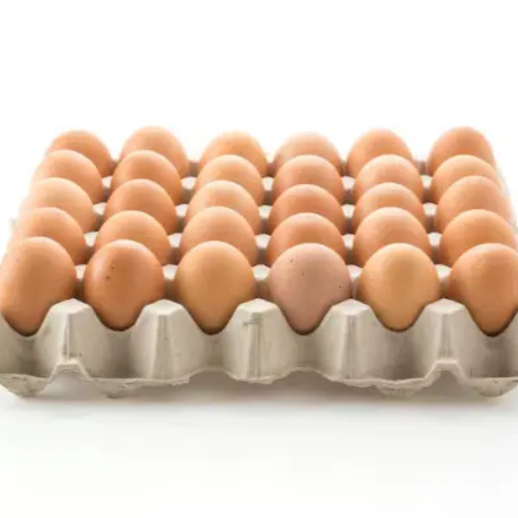 Eggs